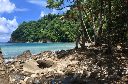 anse couleuvre plage authentique Martinique sable noir sauvage