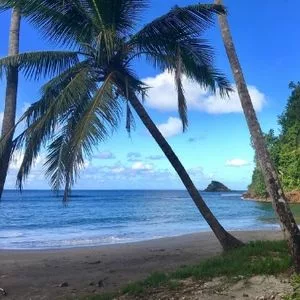 Plage Batibou île caraïbes