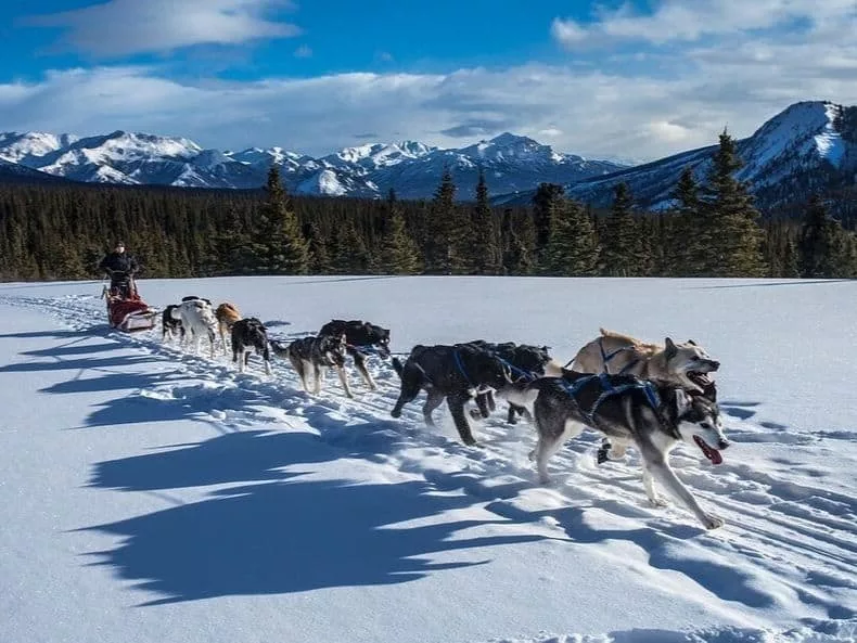 voyage canada atypique