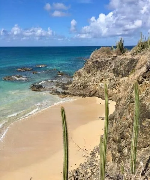île aux fleurs voyage antilles martinique plage cactus île aux fleurs voyage de luxe antilles Martinique cactus plage sable blanc