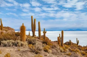 voyage en famille an aout aventure en Bolivie paysages
