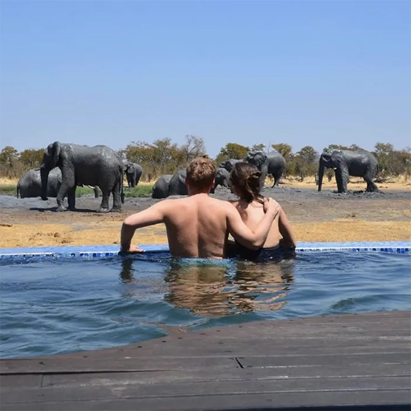 Voyage de noces surprise safari Afrique - Horizons Secrets