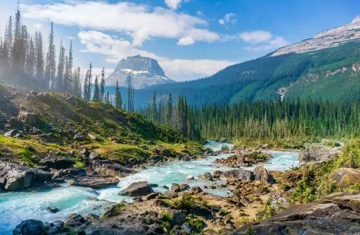 Canada lune de miel nature Canada lune de miel nature aout